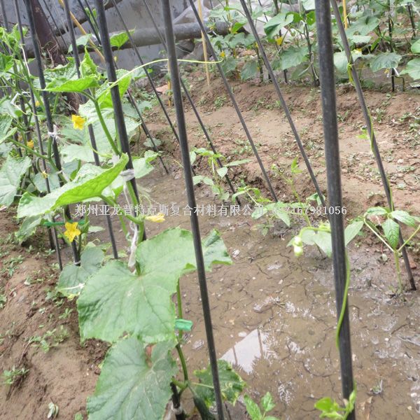 玻纖桿植物支撐桿菜桿小拱棚支撐桿