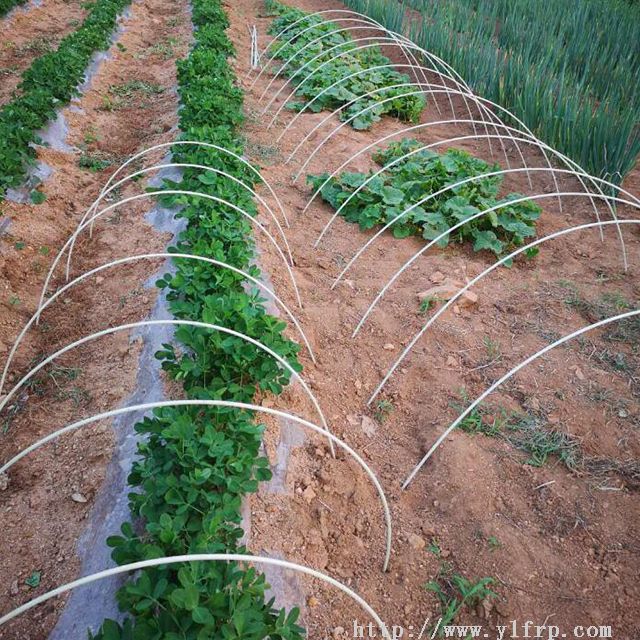 玻纖棒-小拱棚支撐